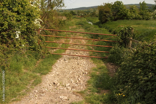 Rural lane in England