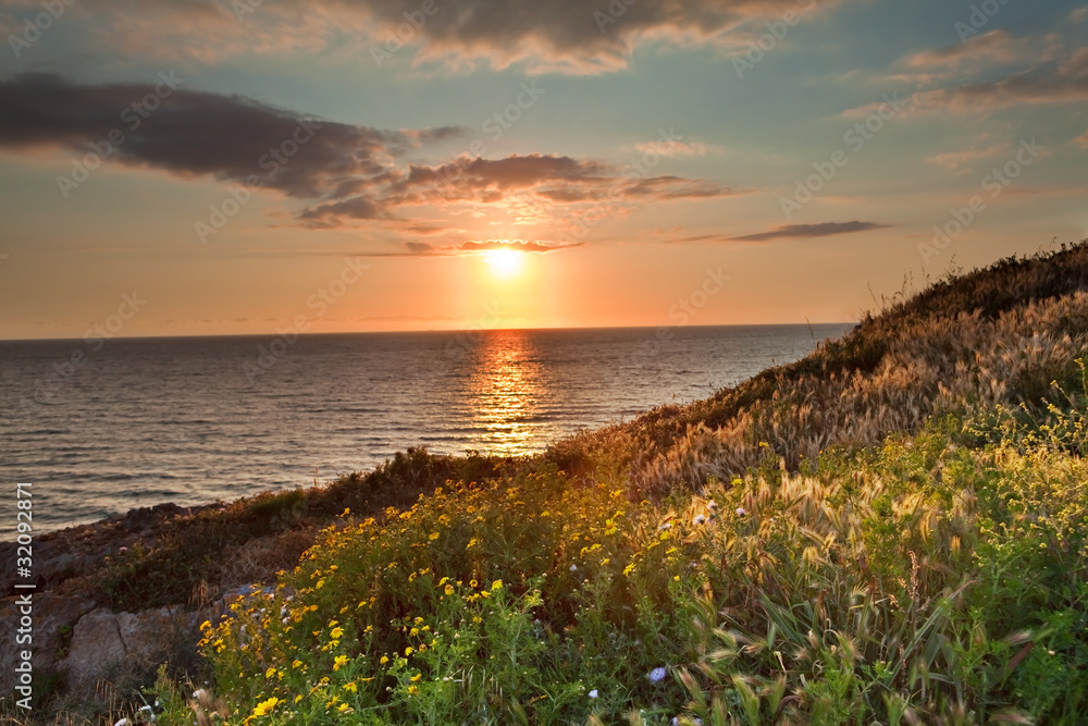 sunset flower meadow and ocean spring colors