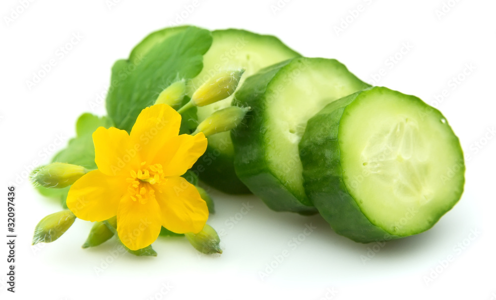Cucumber and celandine Cucumber and celandine