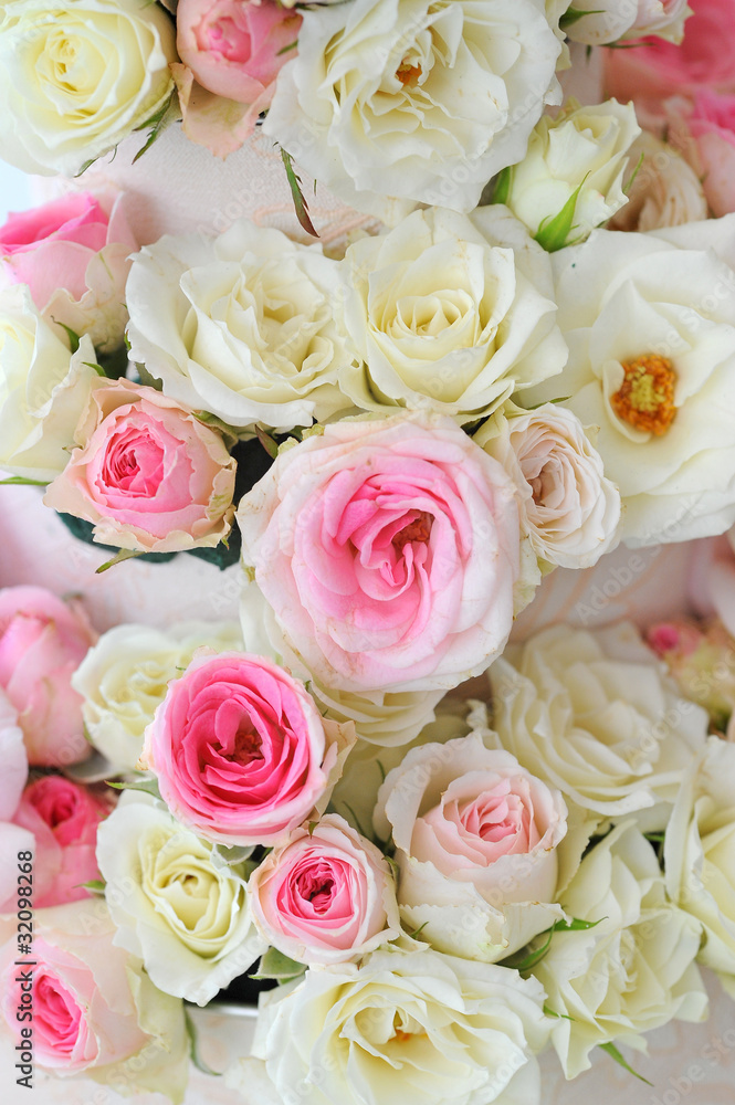 Set of a beautiful roses