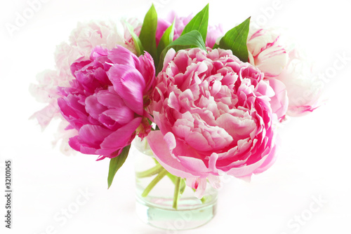 Plakat kwiat piwonia bukiet różowy
