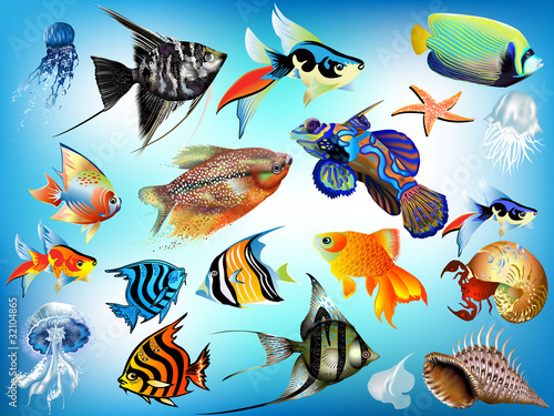 Marine animals