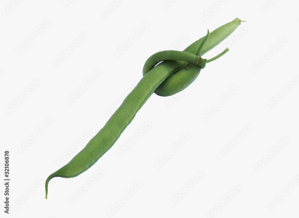 Odd Green Bean Odd Green Bean