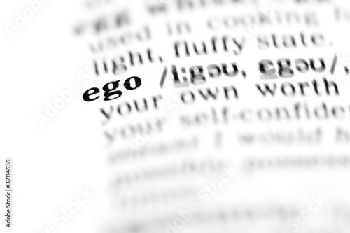 ego  (the dictionary project)