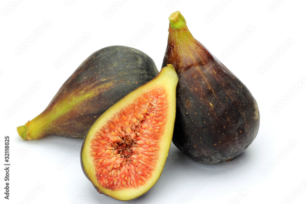 fig fig