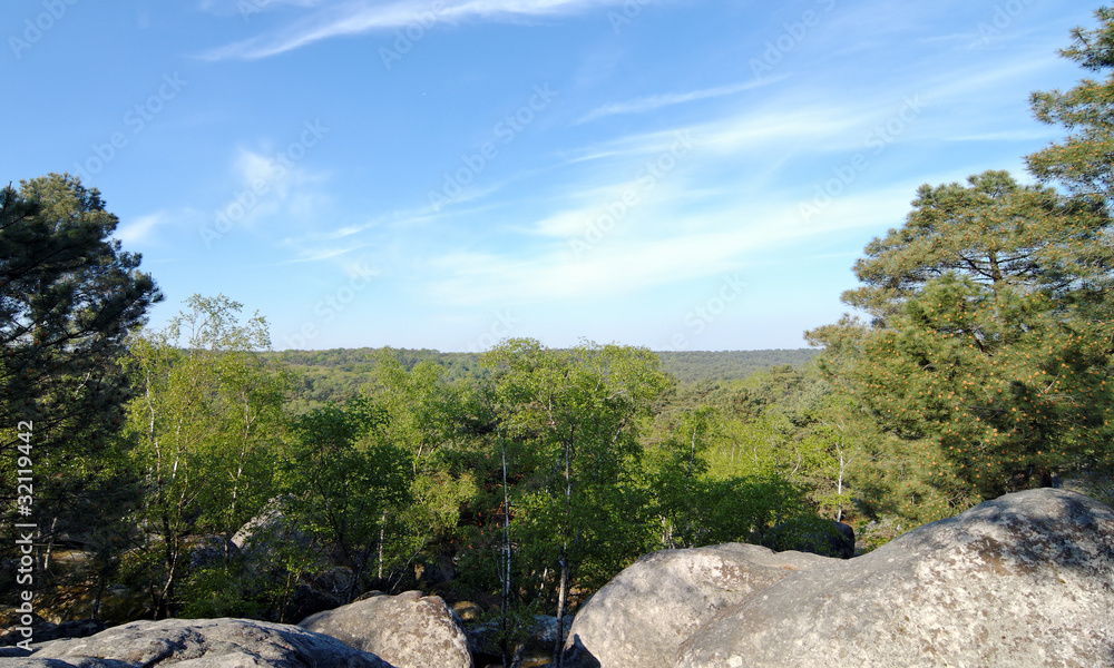 point de vue de la platrière de Barbizon point de vue de la platrière de Barbizon