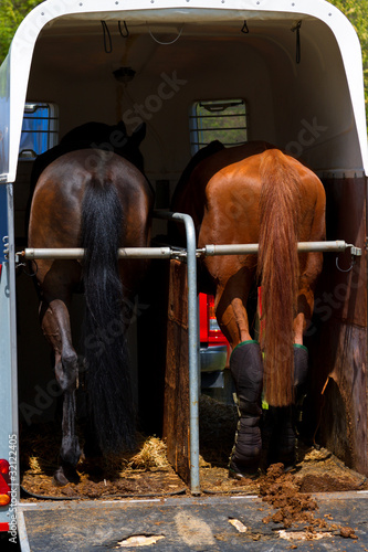Horse transportation