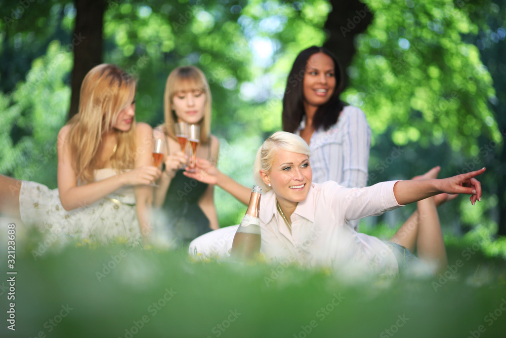 Naklejka premium Picknick mit Prosecco