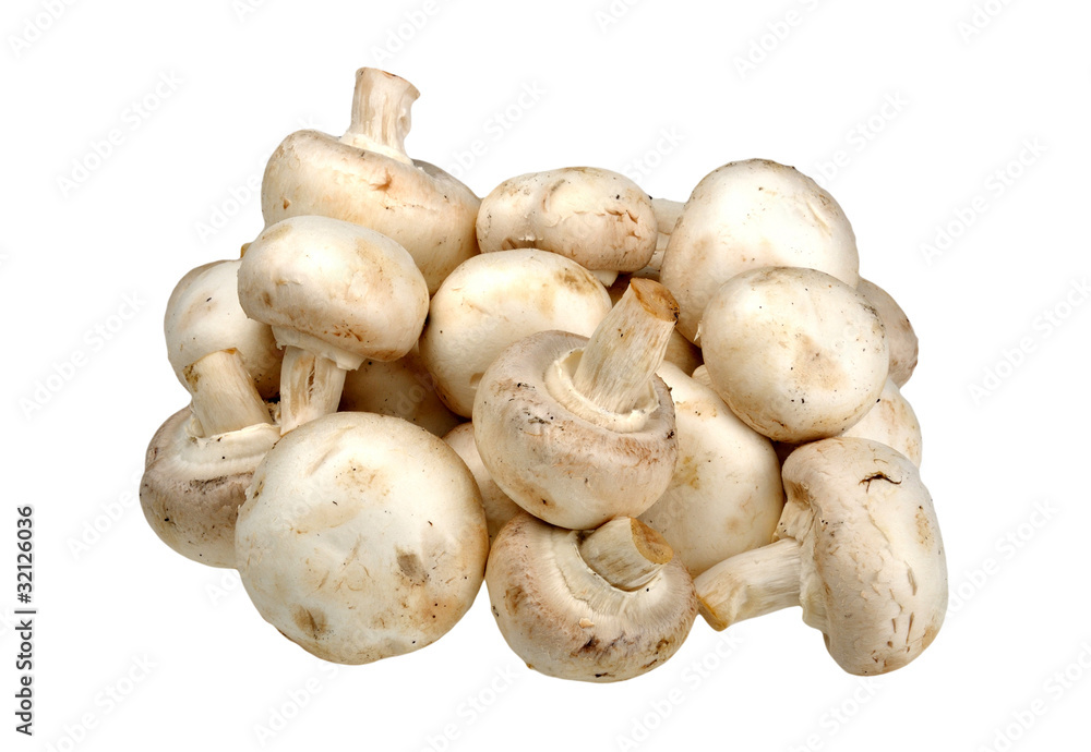 champignon on a white