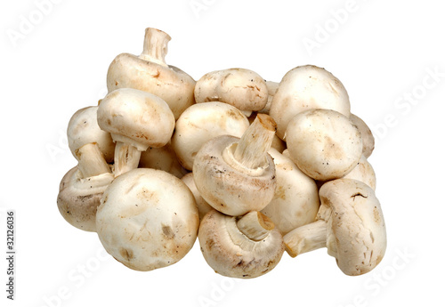 champignon on a white