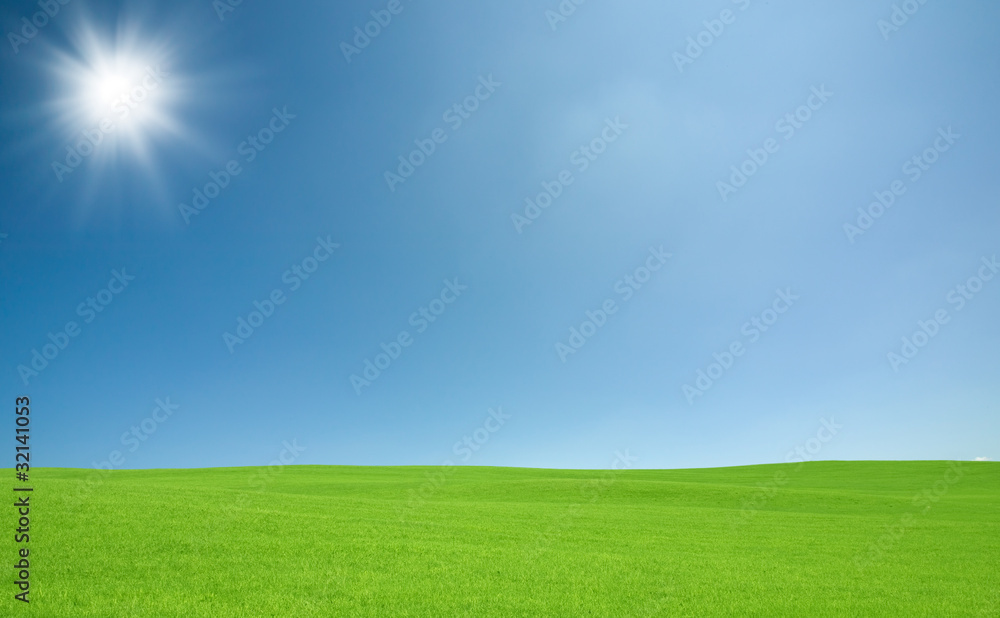 Fototapeta premium Green grass and sky