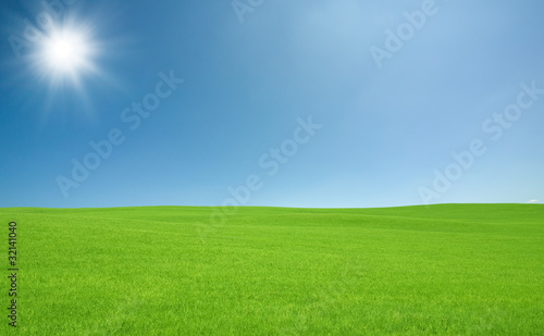 Green grass and sky © MP_P