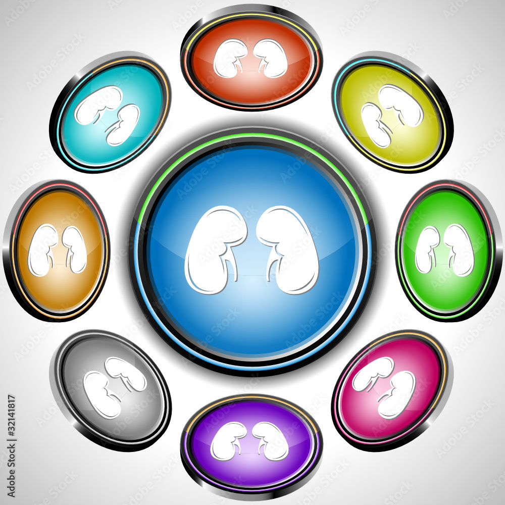Kidneys. Vector internet buttons. 8 different projections. Kidneys. Vector internet buttons. 8 different projections.