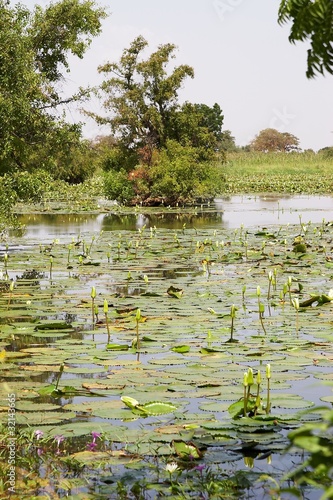 A lake in Afrca photo