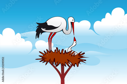 Storks in the nest