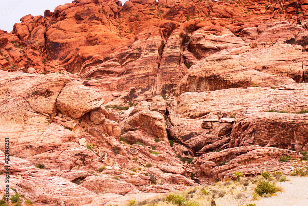 Red Rock Canyon Walls Rising out of Desert Red Rock Canyon Walls Rising out of Desert