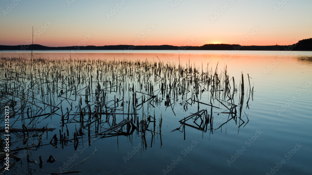 Lake with Reeds at Sunset