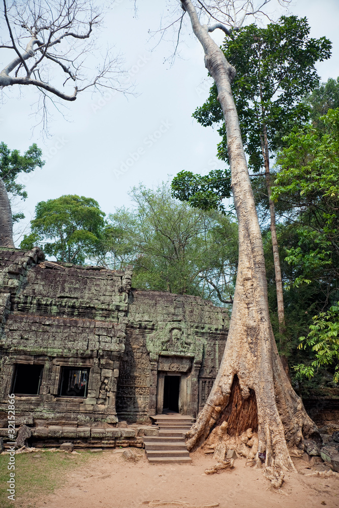 Obraz premium Angkor Wat