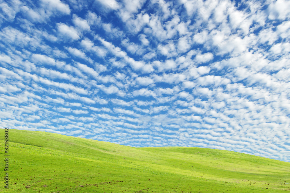 Green grass field and wonderful blue sky