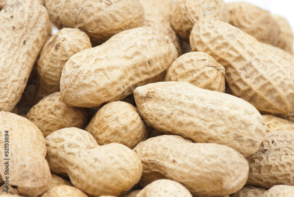 Peanut Peanut