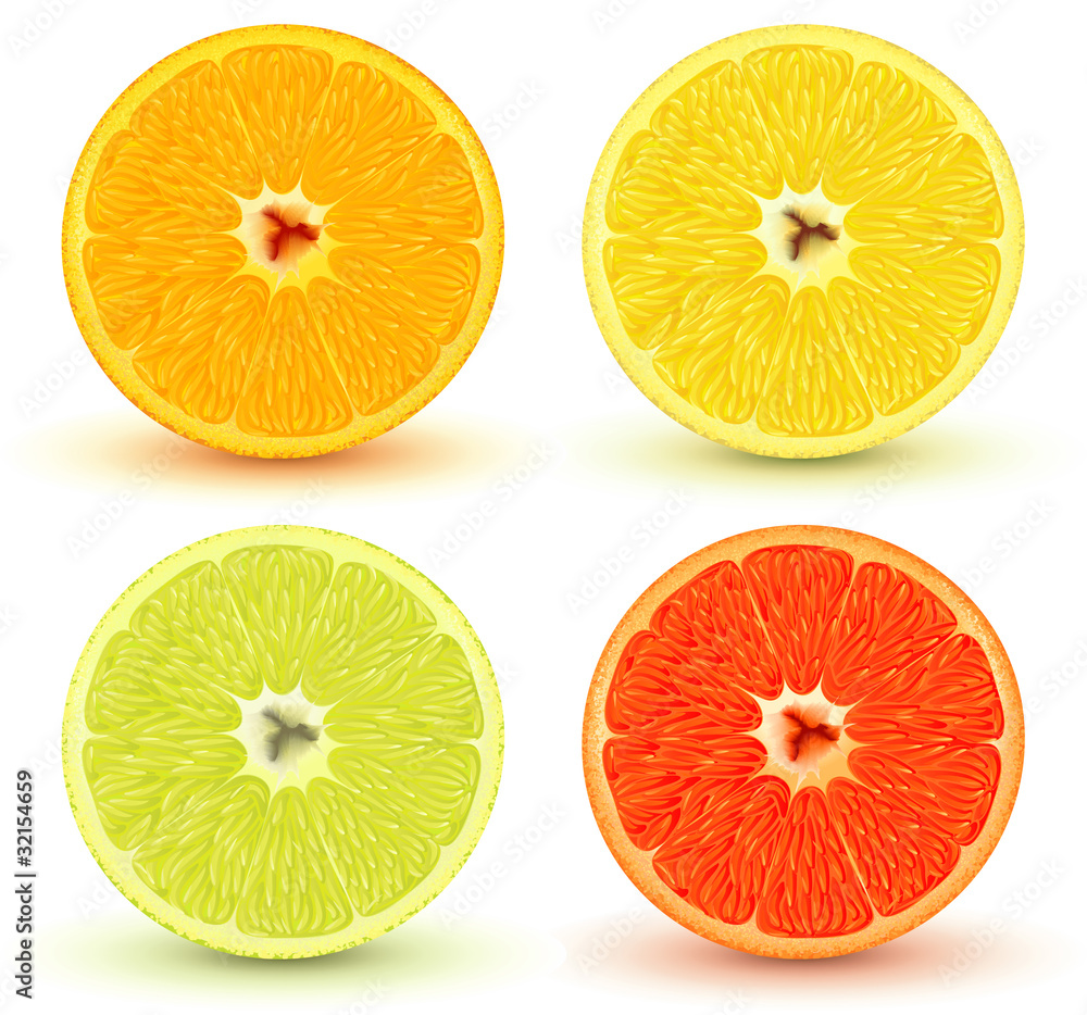 Fototapeta premium citrus fruits