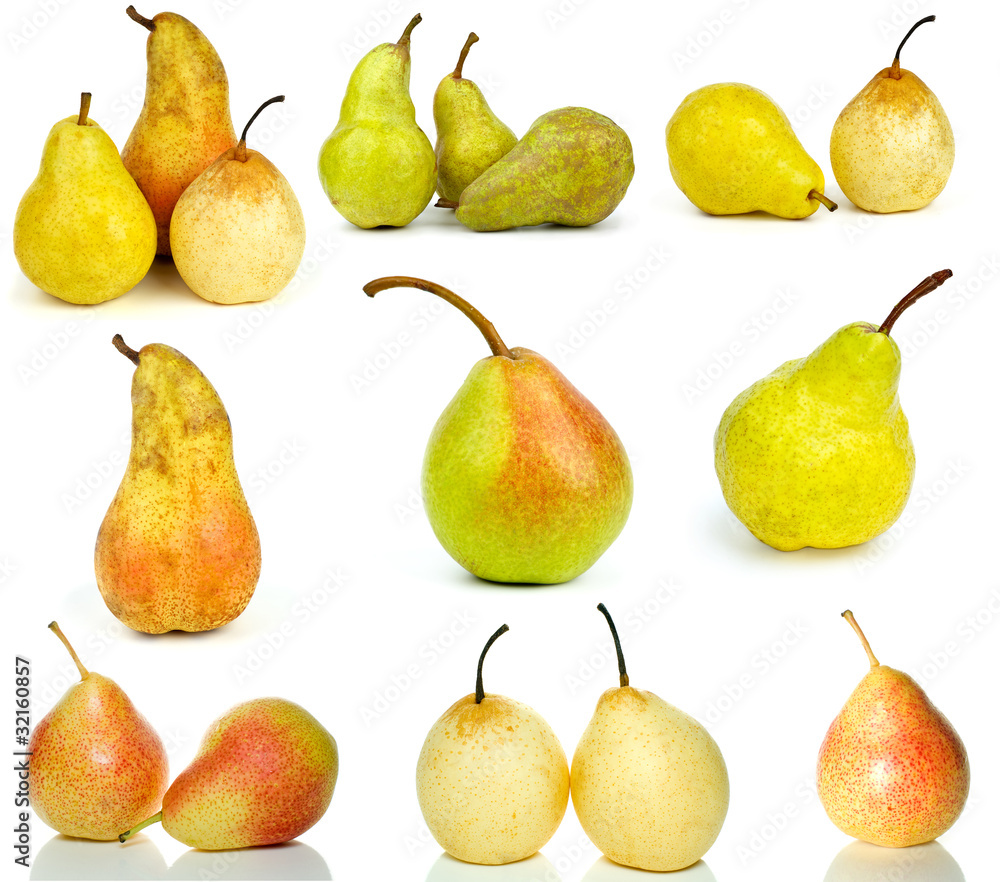 Set of different pears Set of different pears