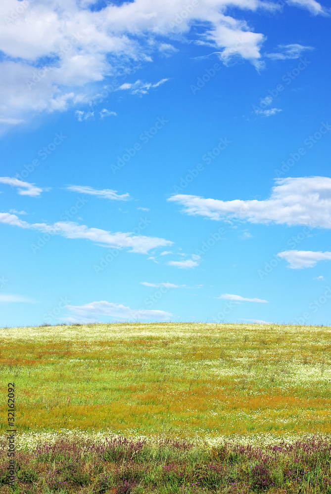 Fototapeta premium Color field background.