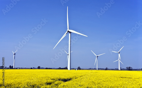 Windräder, Rapsfeld