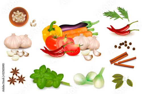 Set with spices and vegetables. Vector illustration.