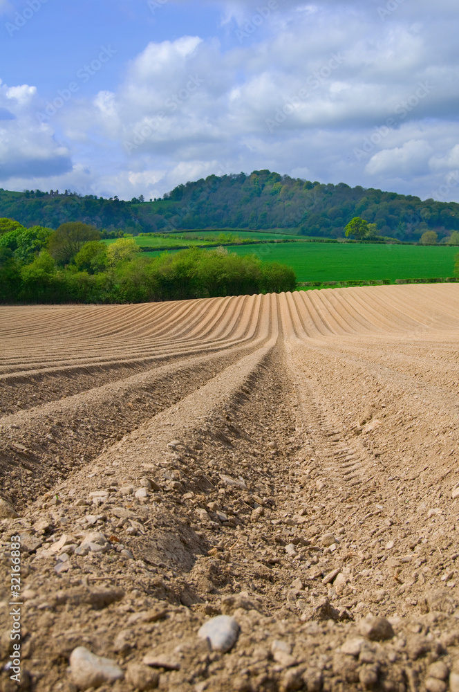 ploughed field ploughed field