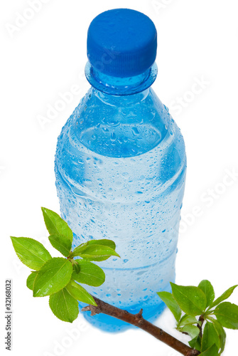 Bottle of water with green apple branch