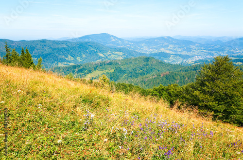 summer mountain country landscape