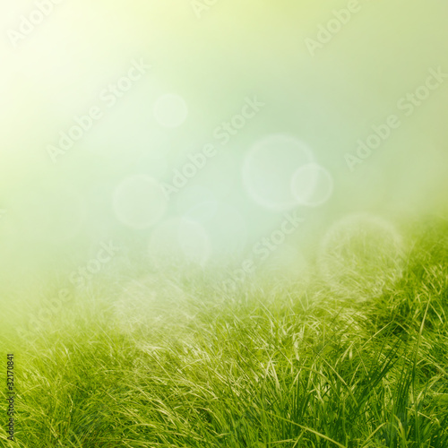 Spring background with grass