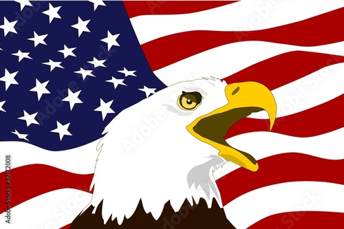 American flag with bald eagle