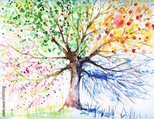 Fototapeta Drzewo czterosezonowe
