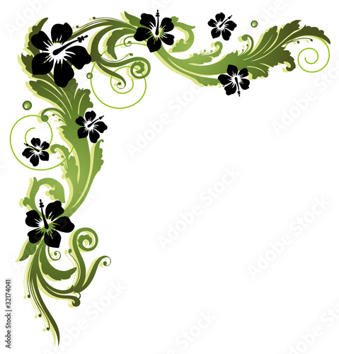 Hibiskus, hibiscus, Ranke, flora, Blumen, Blüten, filigran