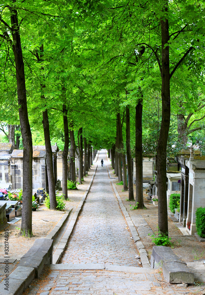 Spring cemetery alley