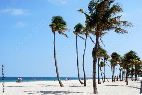 Ft.Lauderdale Beach