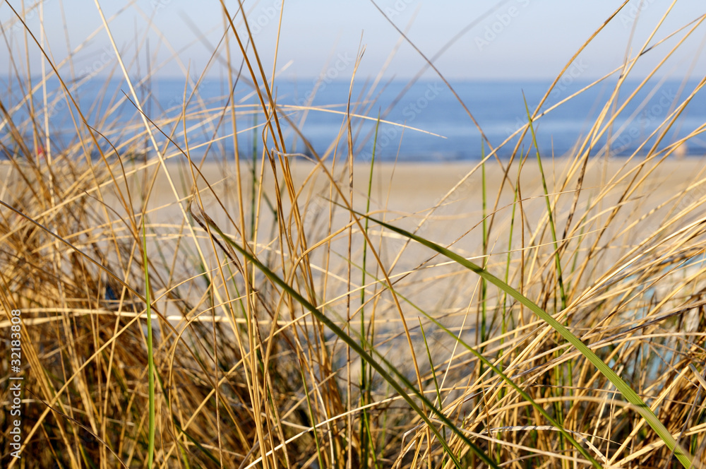 Obraz premium Blick auf die Ostsee und den Strand