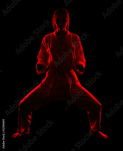 karate girl © Serg Zastavkin