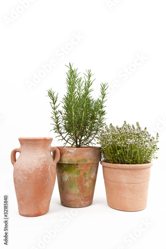 Oregano und Rosmarin