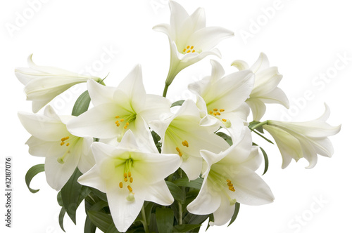 Lily bouquet