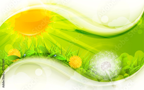 Summer Landscape