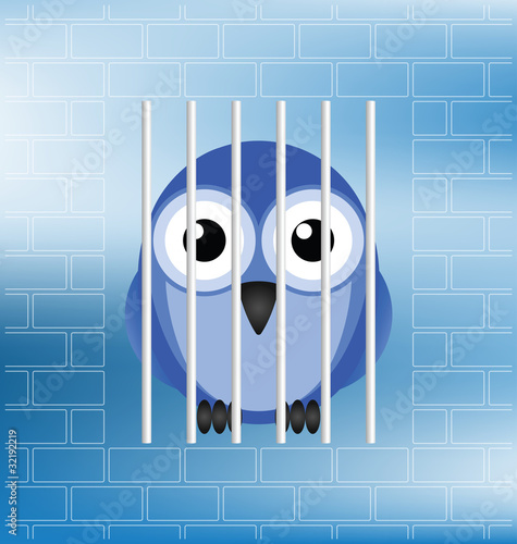 Concept of a jailbird behind bars in prison