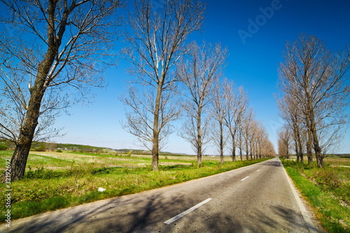Empty road through trees
