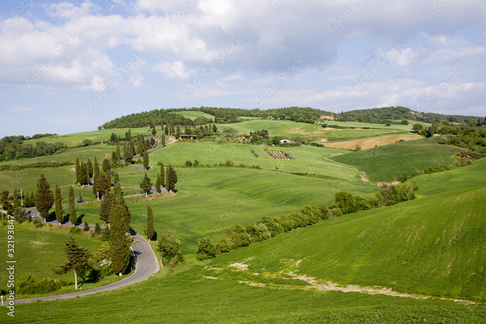 Naklejka premium tuscany