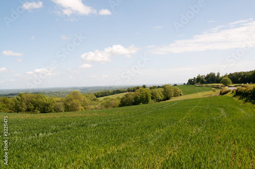 Spring across the Sussex Weald