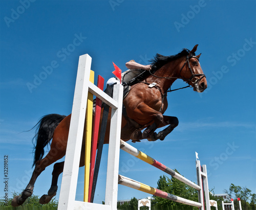 Horse jumping © Ulrich Müller