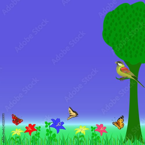 meadow 2