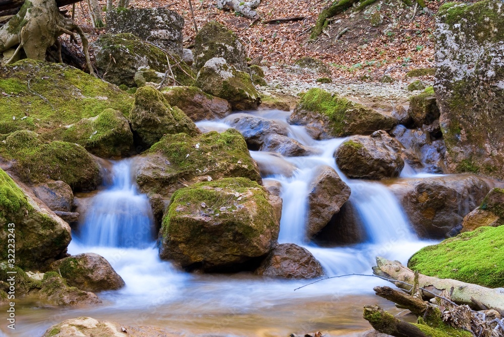 Fototapeta premium mountain river